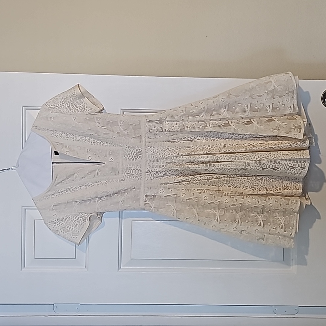 Fit And Flare Lace Cream A-Line Dress By Bcbgmaxazria